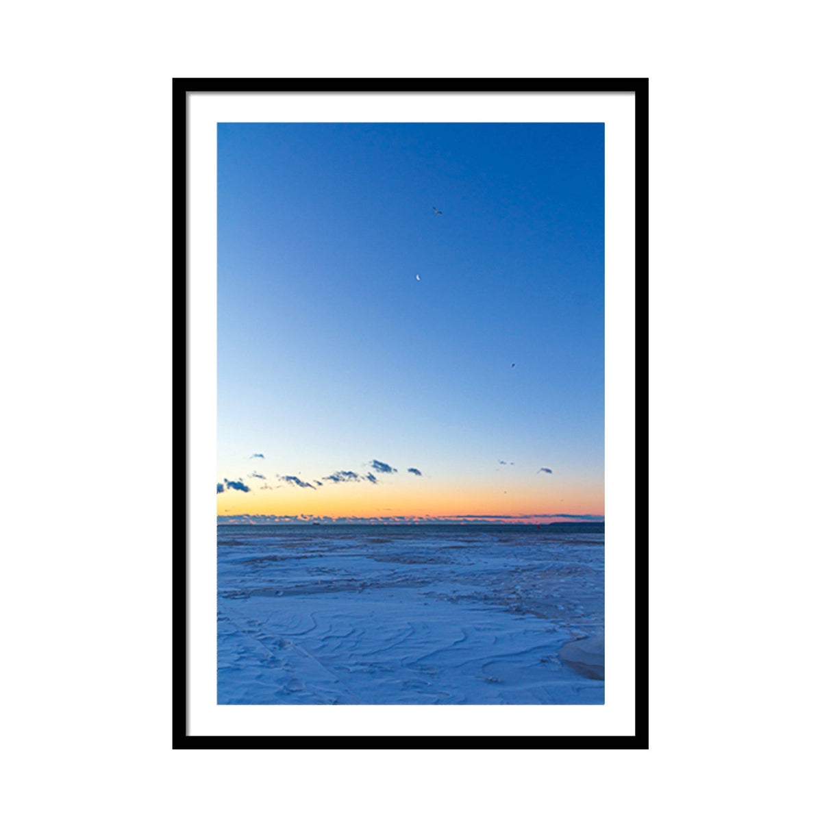 Seagulls Flying Over a Crescent Moon